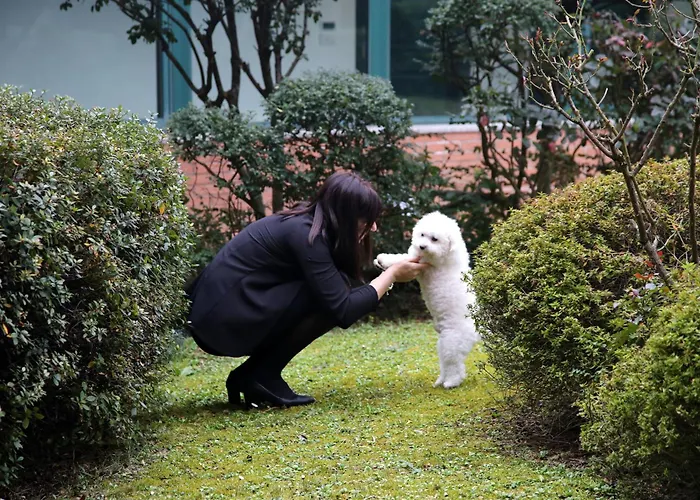 فندق Phi Emilia 4*